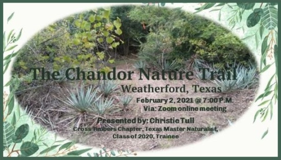 chandor nature trail presentation cover w