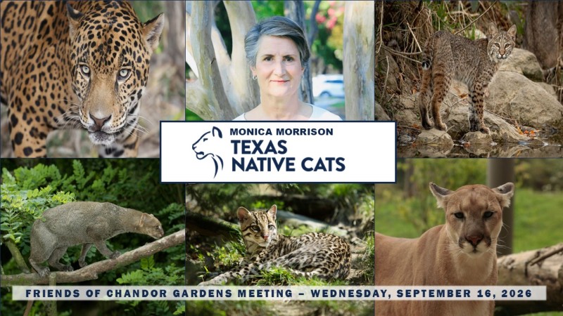 fcg meeting texas native cats sept 2026 w