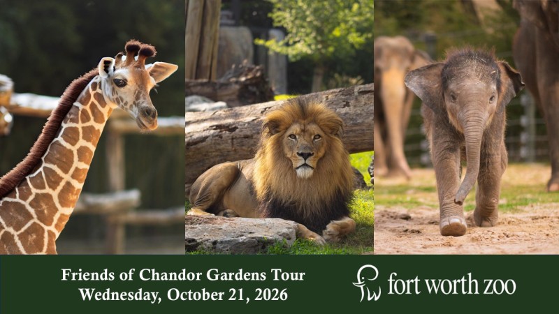fcg tour fw zoo oct 2026 w