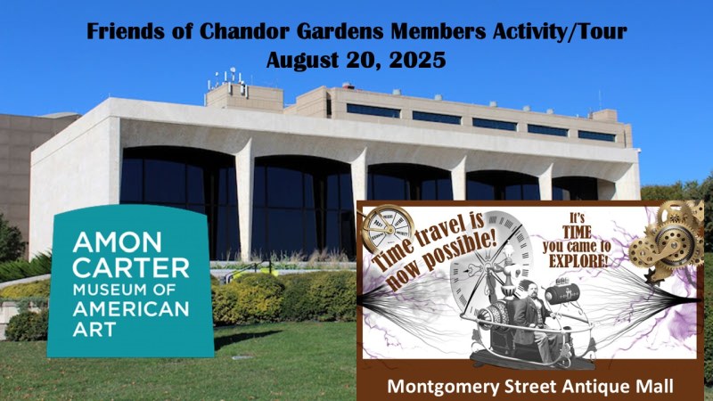 focg activity aug 20 2025
