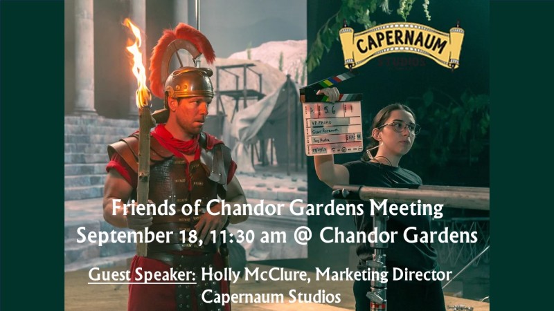 focg meeting capernaum sept 2024