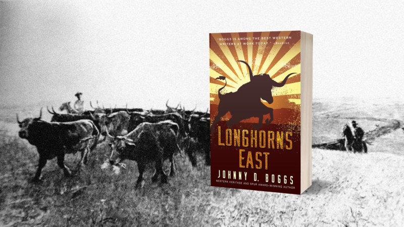 longhorns east cattledrive background w