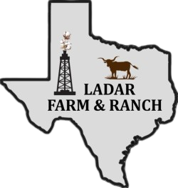 ladar logo gray fill w